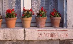 For those of us who spend most of their time inside, container gardening might get us back in touch with nature.