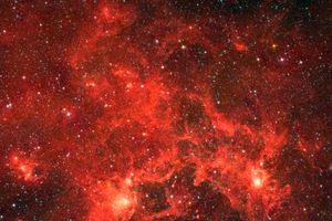Nebula in the Milky Way galaxy nicknamed the Dragonfish