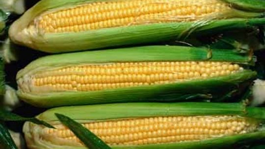 Corn: Natural Weight-Loss Food