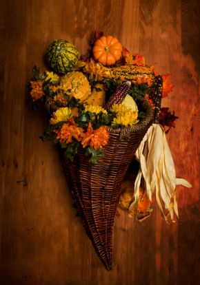 aerial view of a cornucopia