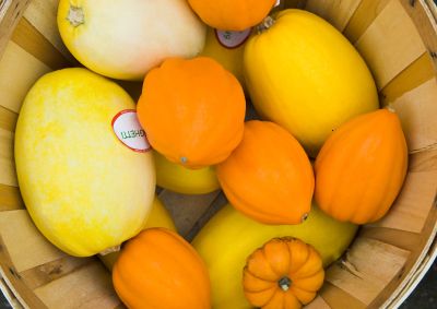 squashes and pumpkins