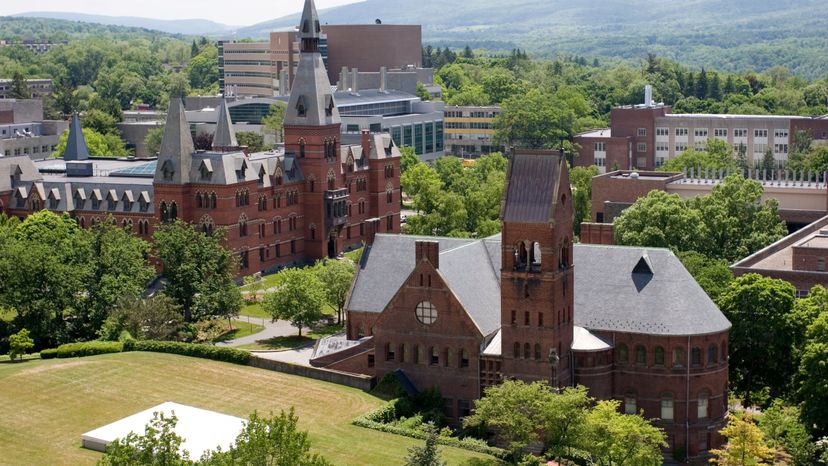 cornell university