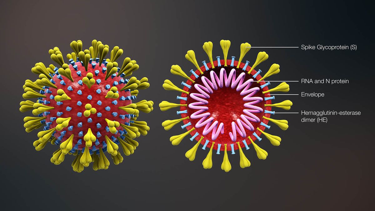 How Long Can Viruses Live on Surfaces? HowStuffWorks