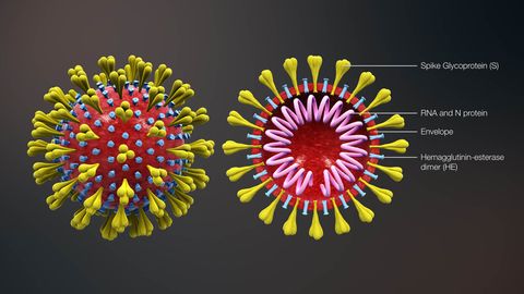 How Long Can Viruses Live on Surfaces? - Vimarsana News