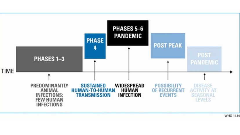 WHO pandemic phases