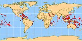 Coral reefs, indicated by red dots, are found predominantly in tropical waters 30 degrees north and south of the equator.