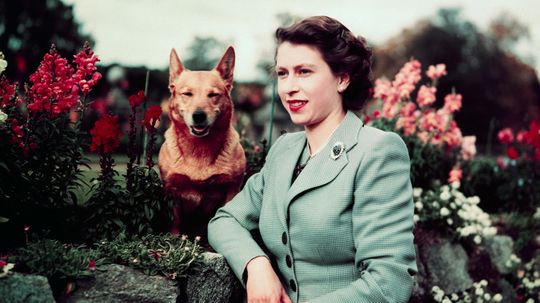 How Queen Elizabeth Fell in Love With Corgis