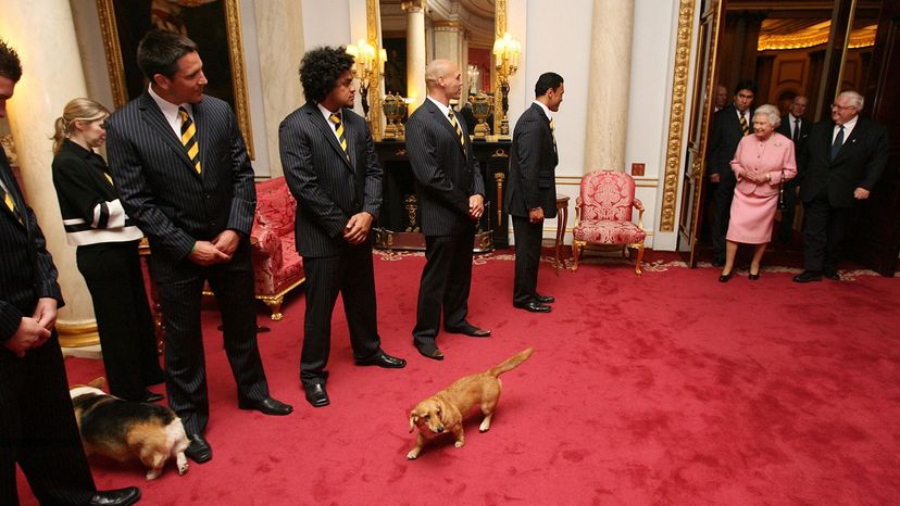 New Zealand rugby team, Queen Elizabeth