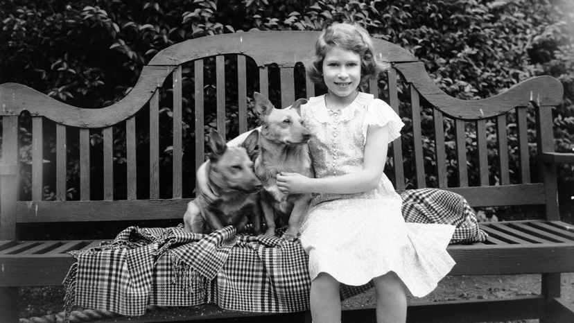 Princess Elizabeth, corgis