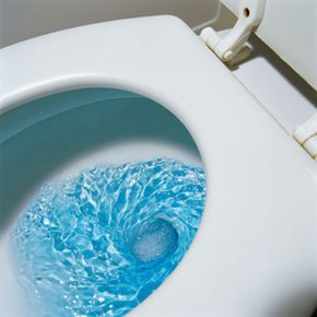 Would you believe that the direction of the water in this toilet bowl was influenced by the Earth's rotation? Didn't think so.