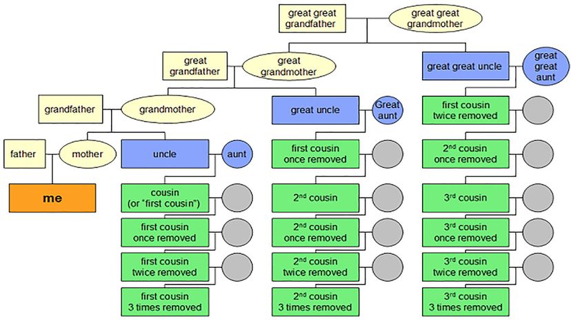 second-cousin-vs-second-cousin-once-removed-cousin-chart