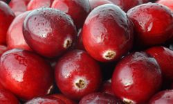 Cranberry juice is a natural diuretic.