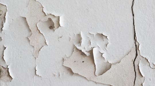 How to Fix Cracked Plaster in 4 Steps