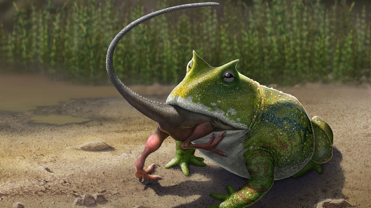 After Dinosaurs Went Extinct, These Ten Giant Creatures Roamed the Earth, Science