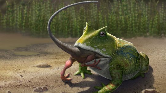 10 Cretaceous Animals That Weren't Dinosaurs
