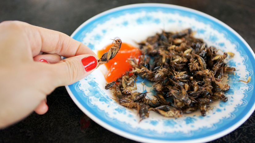 Fried crickets and other insects have been served up as a snack across Asia for centuries. Olena Tymchenko/Getty Images