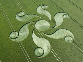 Crop circle discovered at Alton Barnes in England in June 2004