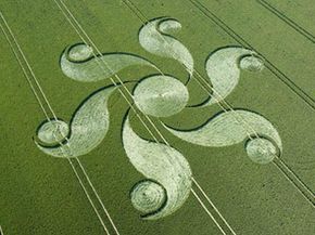 alien face crop circle