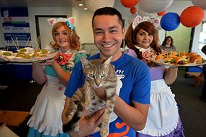 Carlos Wong在洛杉矶的一次活动中与他的员工和一只猫合影，以宣传他为Catfe开展的Kickstarter活动。咖啡馆将允许顾客与被收养的猫互动。Wong的目标是35万美元，但他只筹集了9000美元。