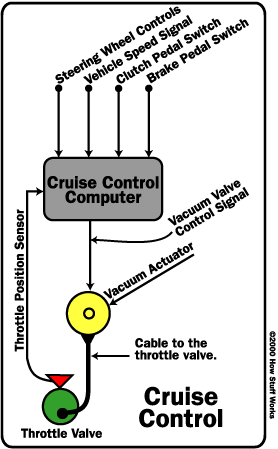 cruise or speed control