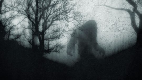 From Bigfoot to Nessie, There's a Cryptid for Every Nagging Fear