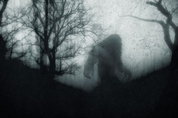 A silhouetted creature lurks in a dark, foggy forest