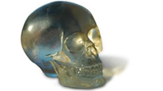 Wild World: Crystal Skull Quiz