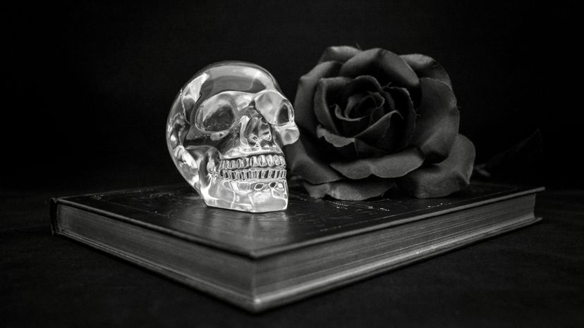 A crystal skull is the focal point, with a black rose, on top of a book.