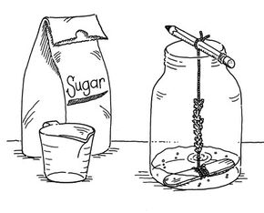 Sweet crystals science experiment