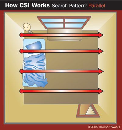 Parallel search pattern in crime scene investigation