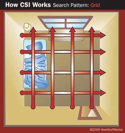 Grid search in a crime scene investigation