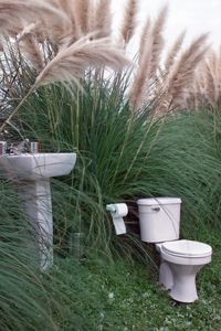 outdoor toilet