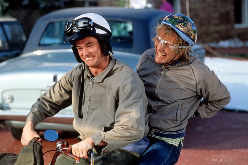 The Dumb and Dumber Quiz