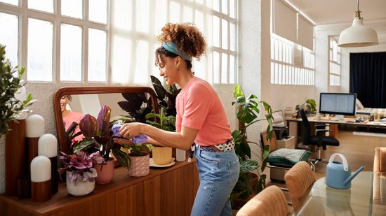 你不能摆脱尘埃,但你可以控制它