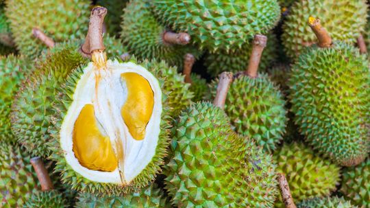 Cancer Scientists Sniff Out the Genes Behind Durian's Famous Stink