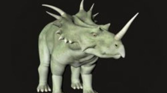 Styracosaurus”width=