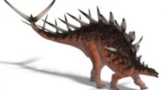 Kentrosaurus