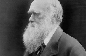 Charles Darwin