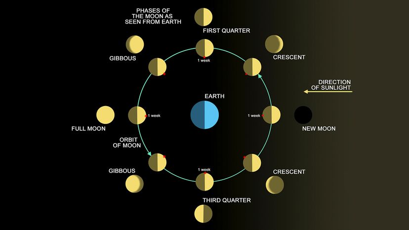 solar system moon phases with earth