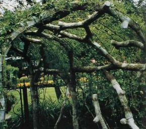 This rustic arbor easily supports a tangle of vines, providing shadeas well as glimpses of a landscape.