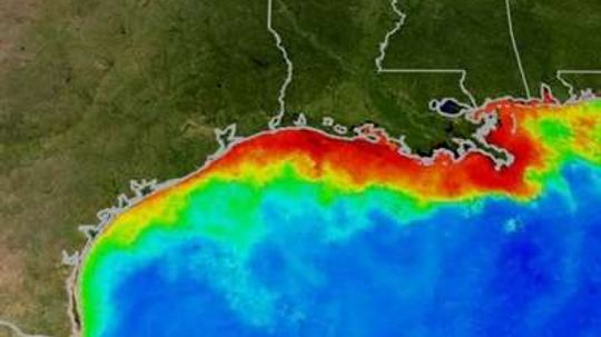 Should we be worried about the dead zone in the Gulf of Mexico?