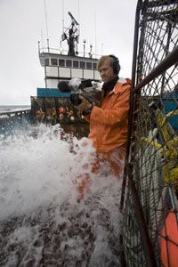 Bandit reels attached to the stern deck of a typical commercial