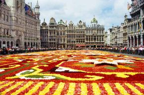 flower carpet, grande palace, belgium