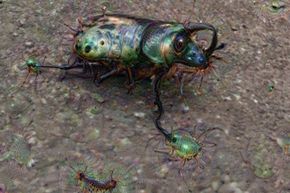 You can see that Deep Dream took an image of a beetle and used its data about similar creatures to reconstruct the original photo subject and background.