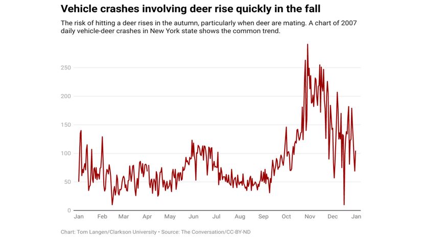 deer crashes	