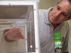 Jonathan Day, Ph.D, of the University of Florida Medical Entomology Laboratory, sticks his arm in a cage filled with mosquitos to demonstrate the effectiveness of repellents containing DEET.