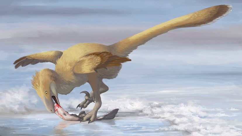 Deinonychus