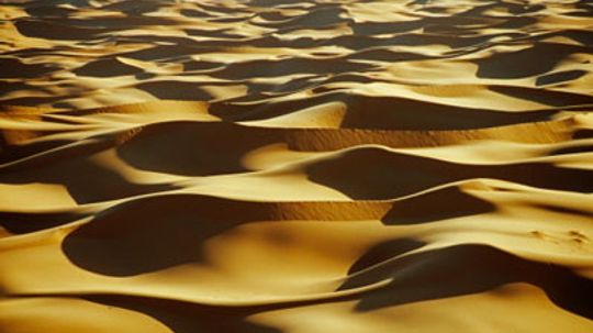 How Desert Survival Works