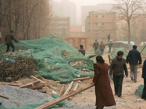 为了改善空气质量，2008年夏季奥运会前，北京的工作人员正在盖沙子。沙尘从中国北部和西北部的沙化地区吹来。查看更多北京的图片。＂width=