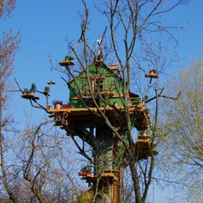 tree house